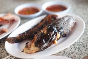 Copycat Cracker Barrel Spicy Grilled Catfish Recipe