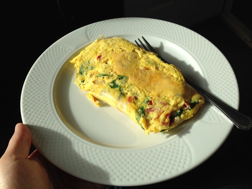 Egg Beater Omelette