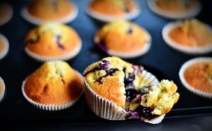 Copycat Panera Blueberry Muffins Recipe