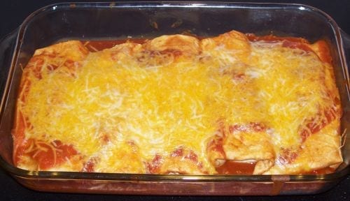 creamy chicken enchiladas