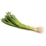 green onion recipes