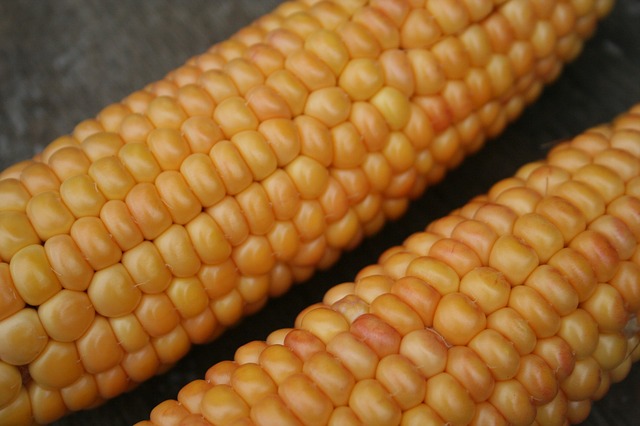 delicious corn in the cob