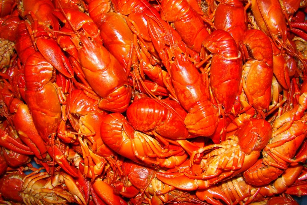 delicious crawfish boil