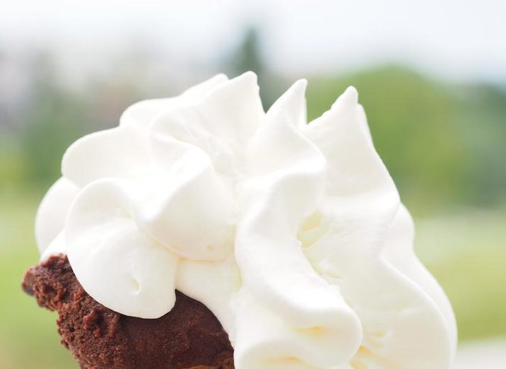 low fat whipped cream recipe