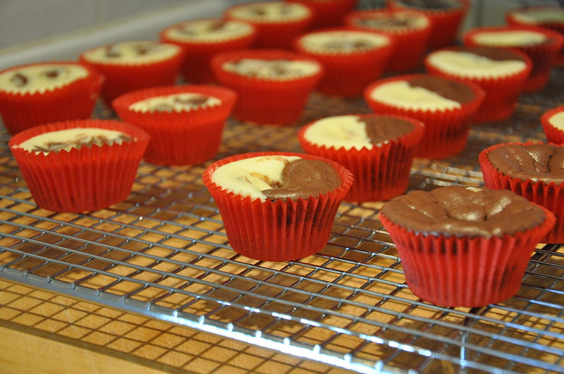 french kiss swirl mini cheesecakes