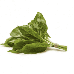 Basil recipes