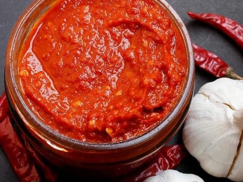 flavorful garlic tomato dip