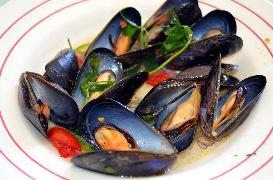 steamed greek mussels recipe