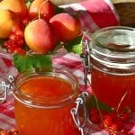 Jalapeno Apricot Preserves Recipe-image
