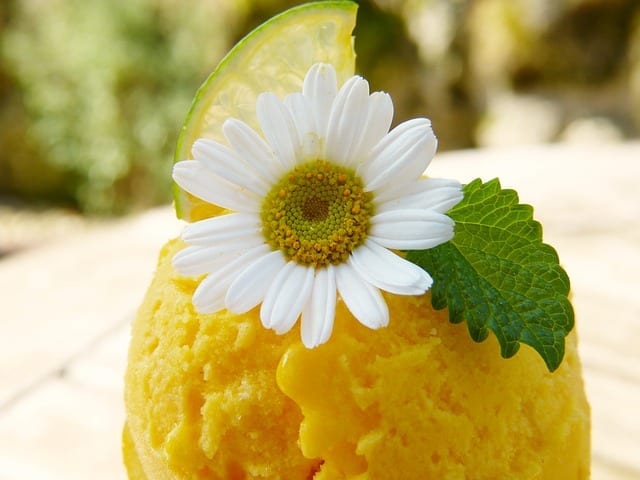 mango orange sorbet