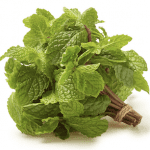 mint recipes
