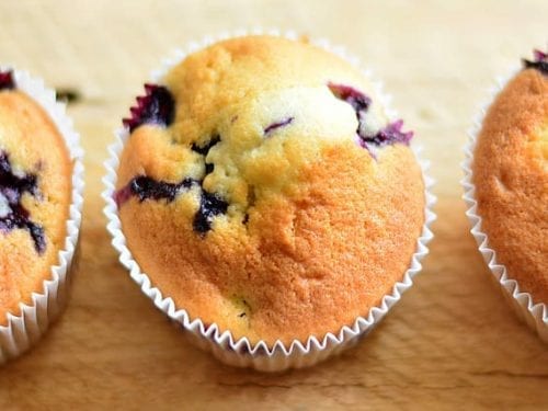 delicious blueberry muffin
