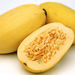 spaghetti squash recipes