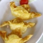 turkey cranberry wonton recipe