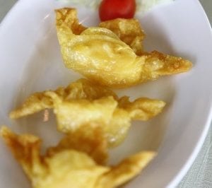 Turkey-Cranberry Wontons Recipe