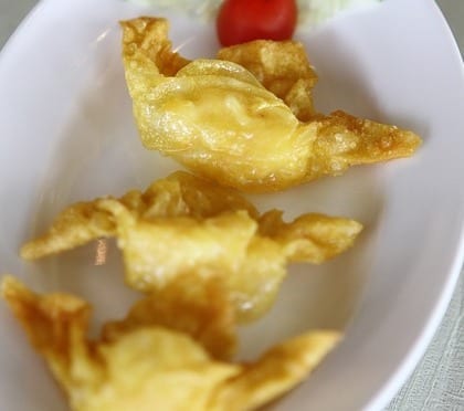 turkey cranberry wonton recipe