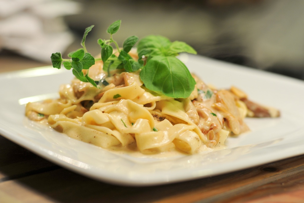 quick and easy beef stroganoff recipe