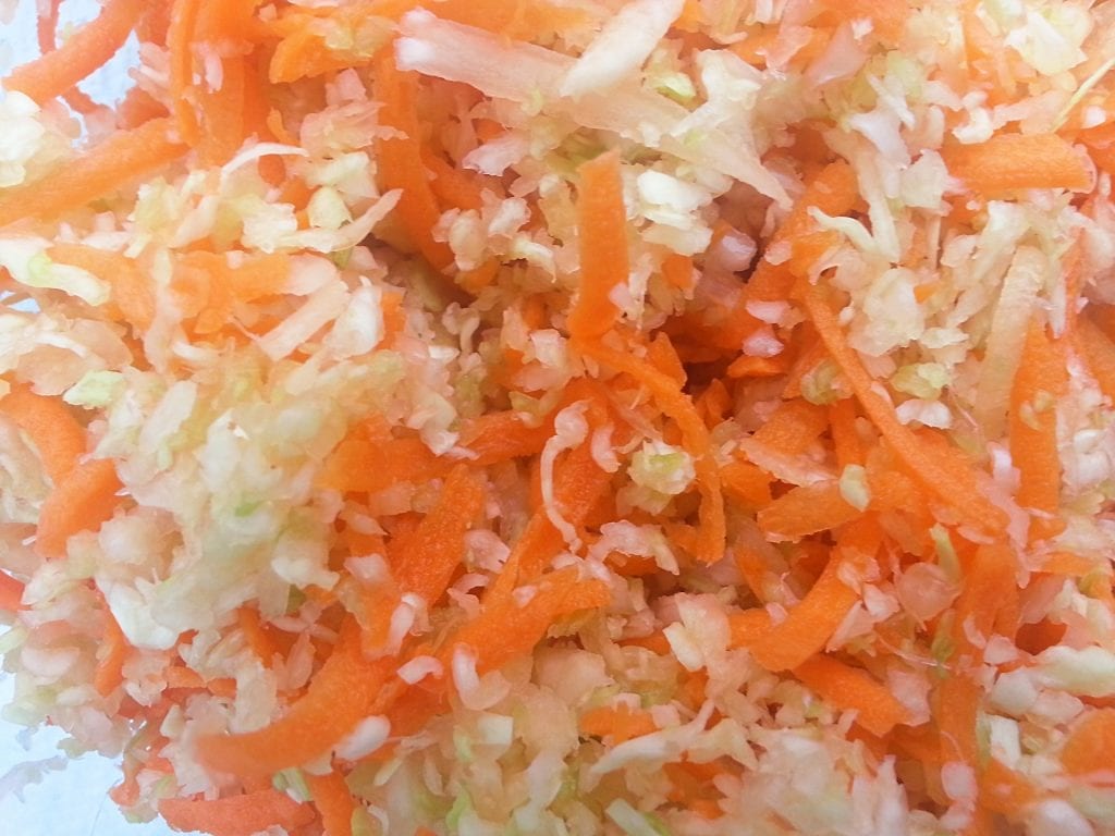 closeup on vegetable slaw