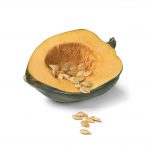 Acorn Squash Recipes