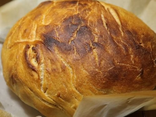No-Knead Whole Wheat Bread with Sorghum Flour Recipe