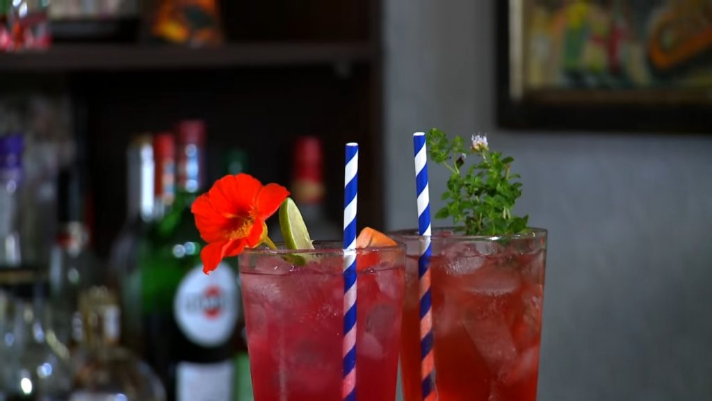 Summer-Seabreeze-Cocktail-Recipe