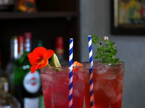 Summer-Seabreeze-Cocktail-Recipe