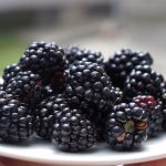 Blackberry recipes