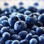 Blueberry recipes