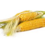 Corn recipes