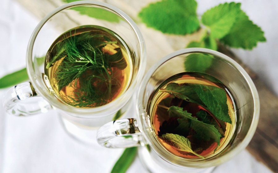 tisane herbal tea versus tea difference