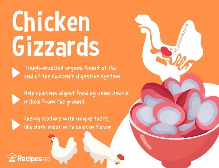 what-are-chicken-gizzards-and-how-to-prepare-them-recipes