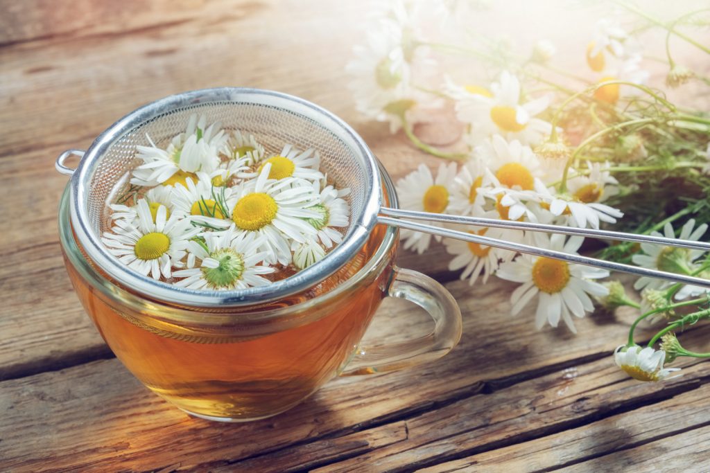 What Is Chamomile Tea 15 Benefits Side Effects And Recipes Recipes Net