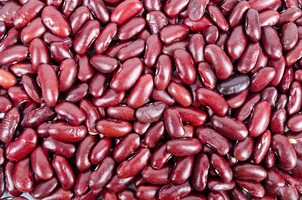 Simple Instant Pot Kidney Beans Recipe