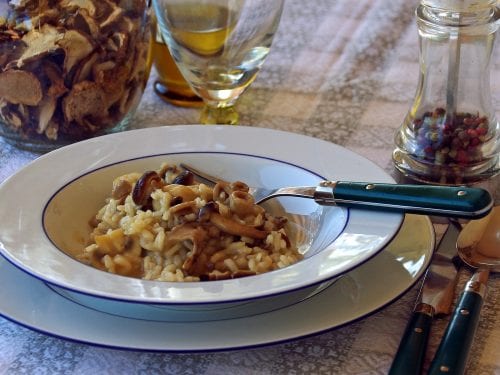creamy-instant-pot-mushroom-risotto-recipe