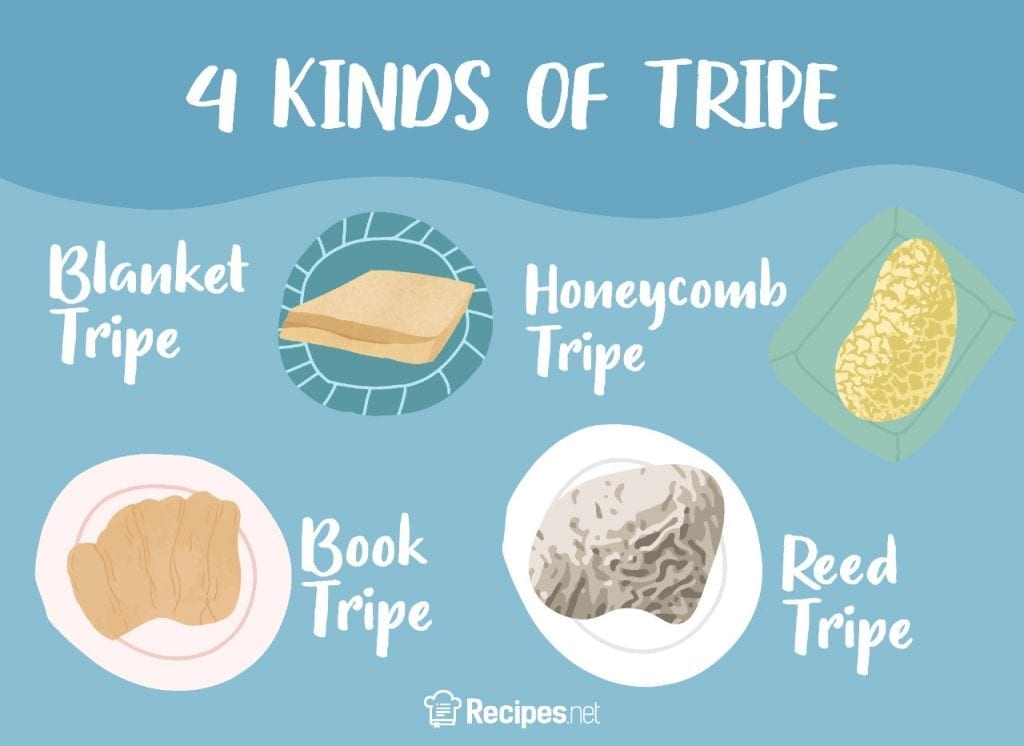 What Is Tripe - 4 kinds of Tripe