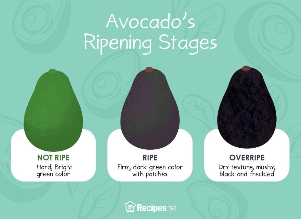 How to Ripen Avocados Quickly