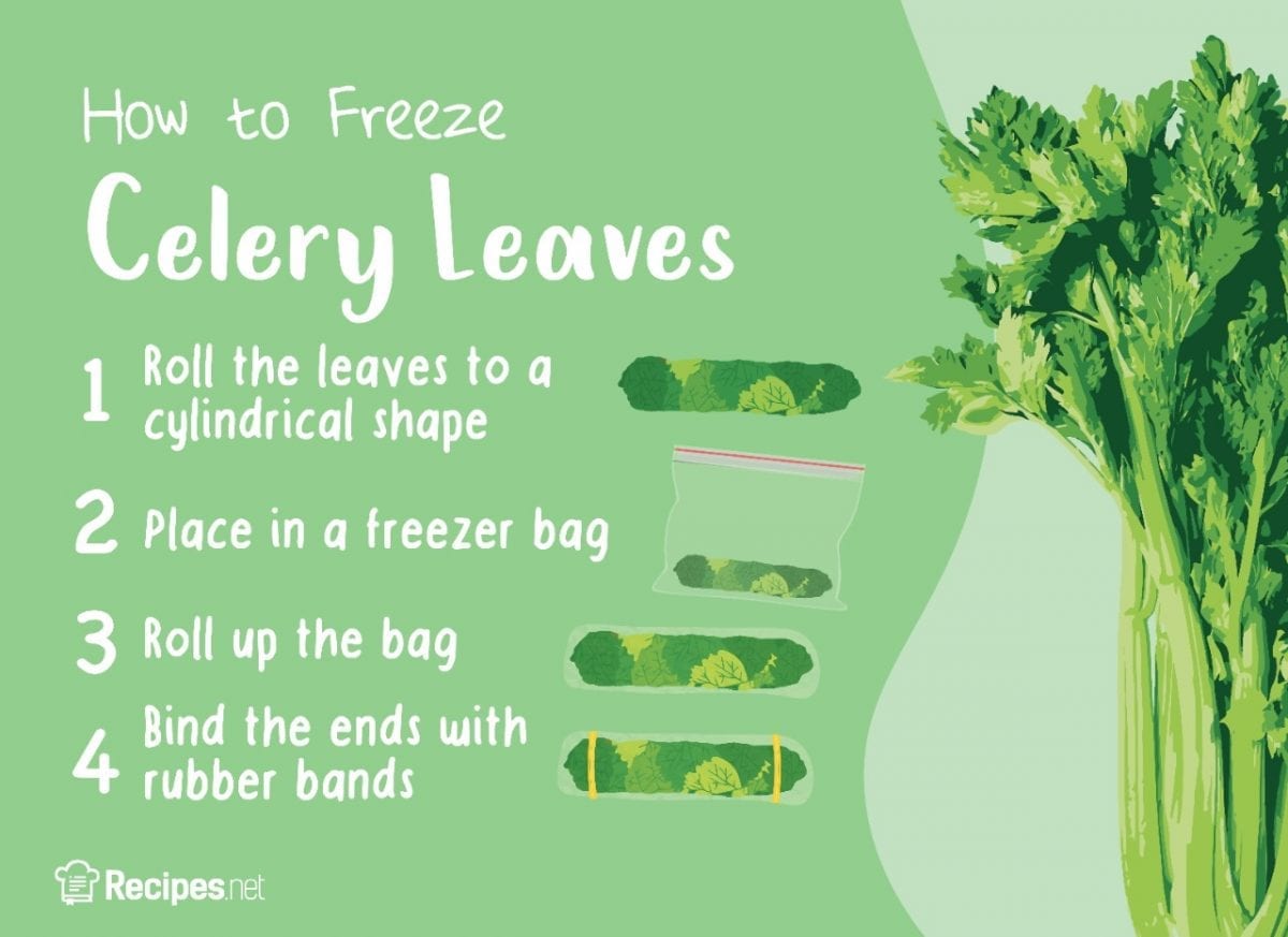 Can You Freeze Celery? Yes! Here’s How. | Recipes.net