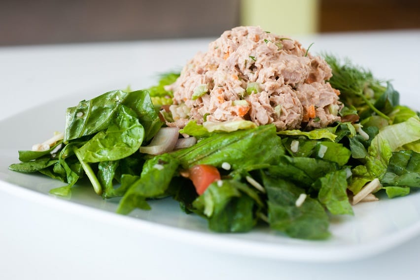 fresh chopped tuna salad on a white plate