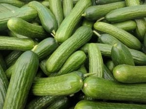 pile of Persian cucumbers