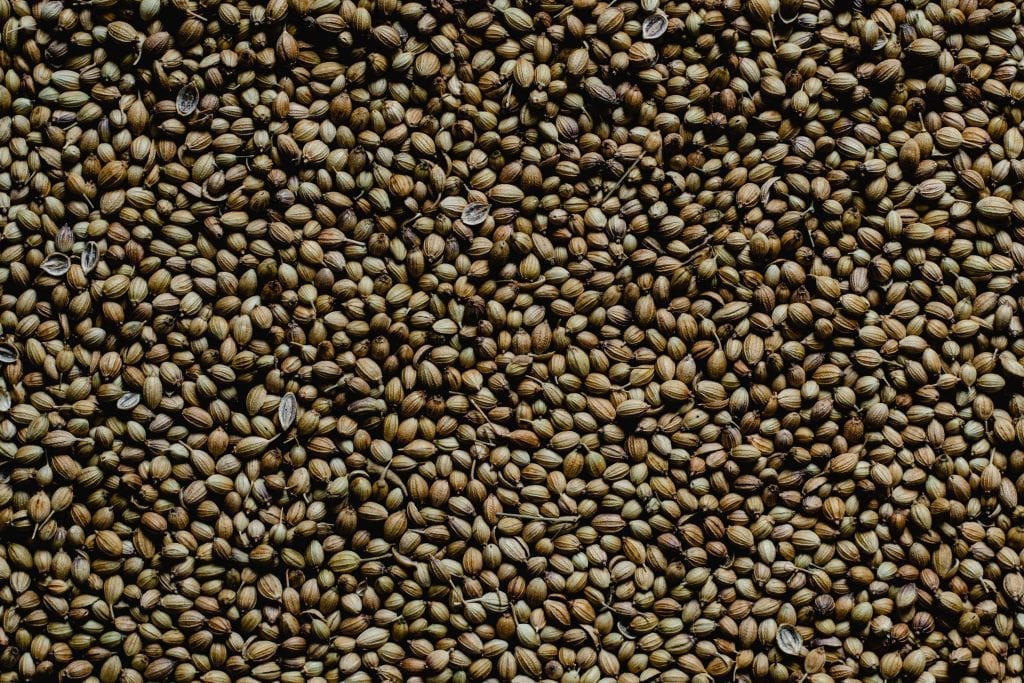 a closeup shot of brown-colored celery seeds