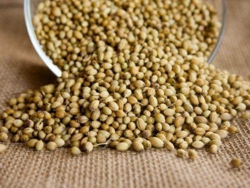 pile of coriander seeds