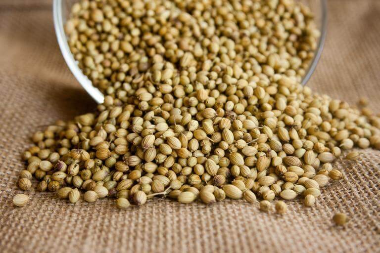 pile of coriander seeds