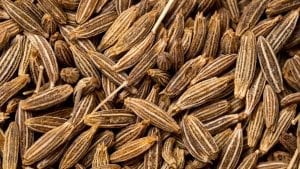 pile of cumin seeds