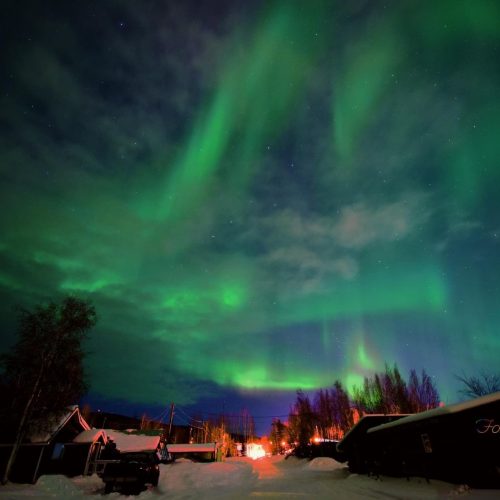 How To Grill In The Oven Oil Free