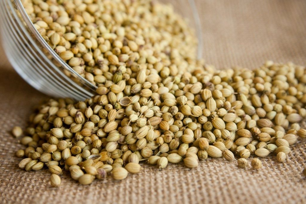 Coriander Seeds: Herb or Spice