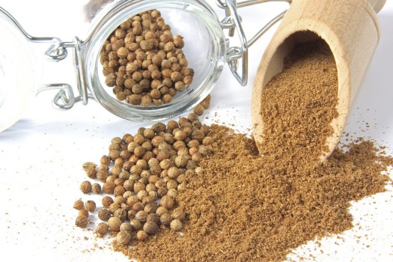 Coriander Seeds Why It's an Essential Spice in Your Kitchen