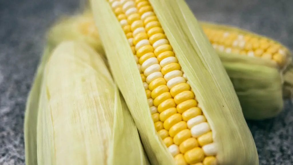 How to Store Corn on the Cob: 4 Sure Methods to Store and Pick Corn