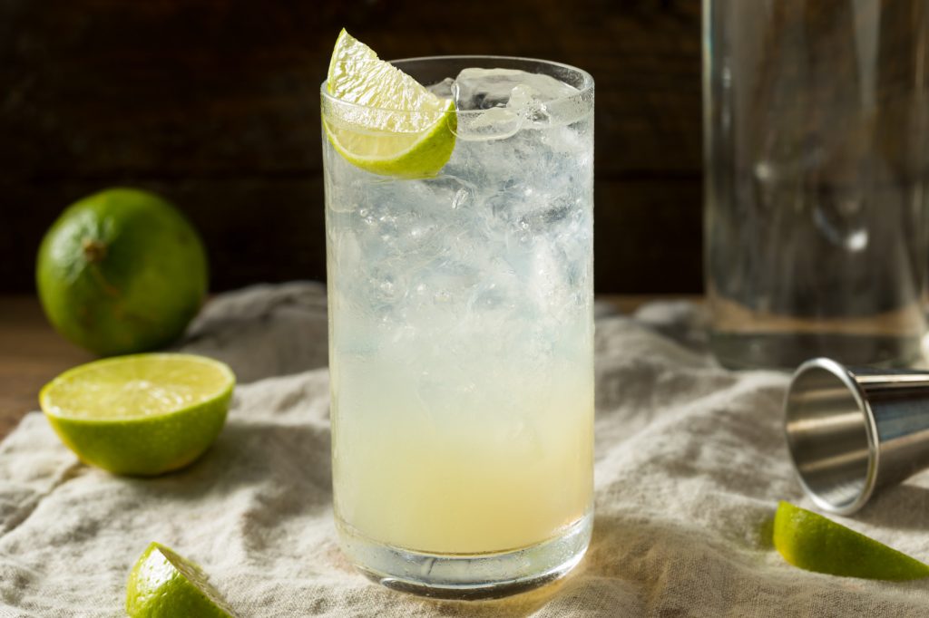 Gin Rickey Cocktail Recipe