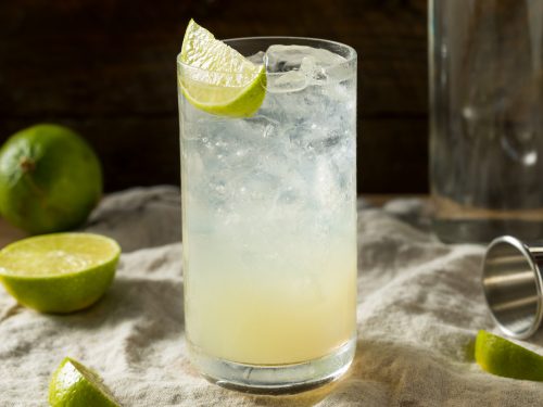 Gin Rickey Cocktail Recipe