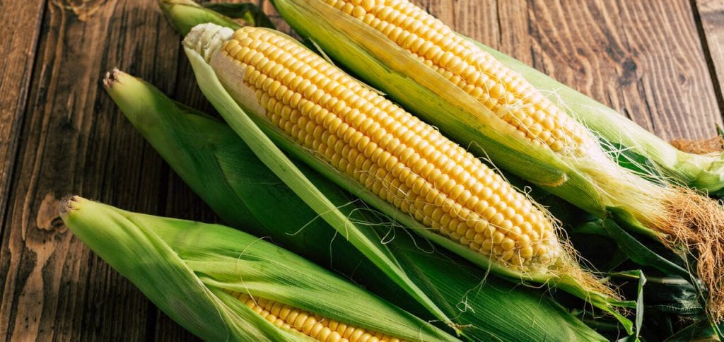 How to Store Corn on the Cob